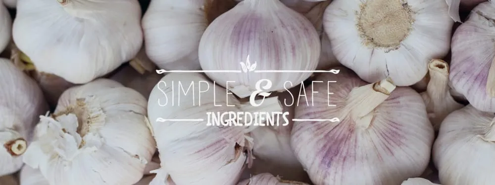 Professional outdoor landscaping for outdoor upgrades across Franklin, MA - Kinder Spray