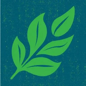 Trusted residential landscaping for residential properties in Franklin, MA by Kinder Spray