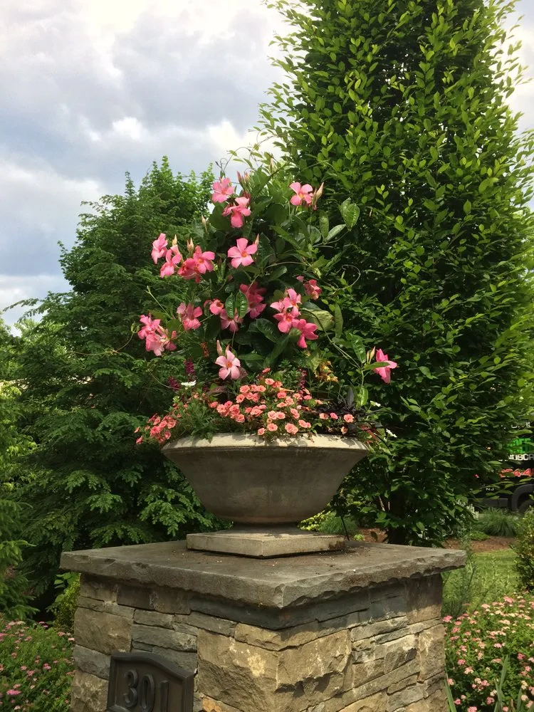 Professional yard cleanup service for residential properties in Bergenfield, NJ by Kindergan Landscaping