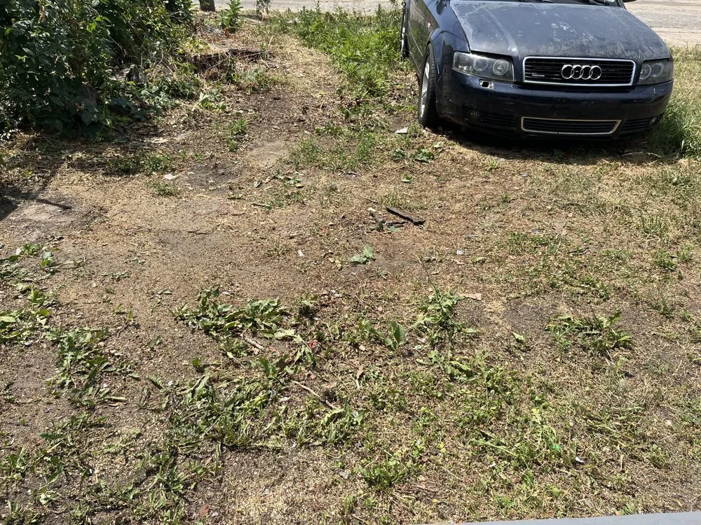 Custom yard maintenance for beautiful yards across Gloucester City, NJ - Kindred Lawn Care