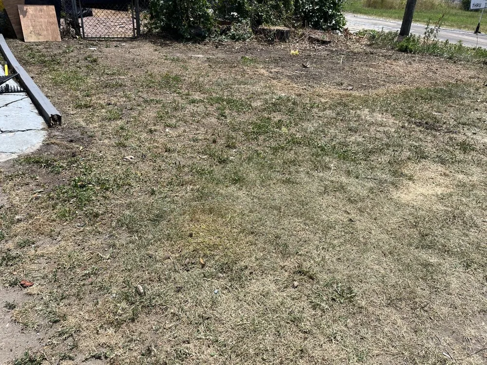 Professional landscaping services in Gloucester City, NJ - Kindred Lawn Care