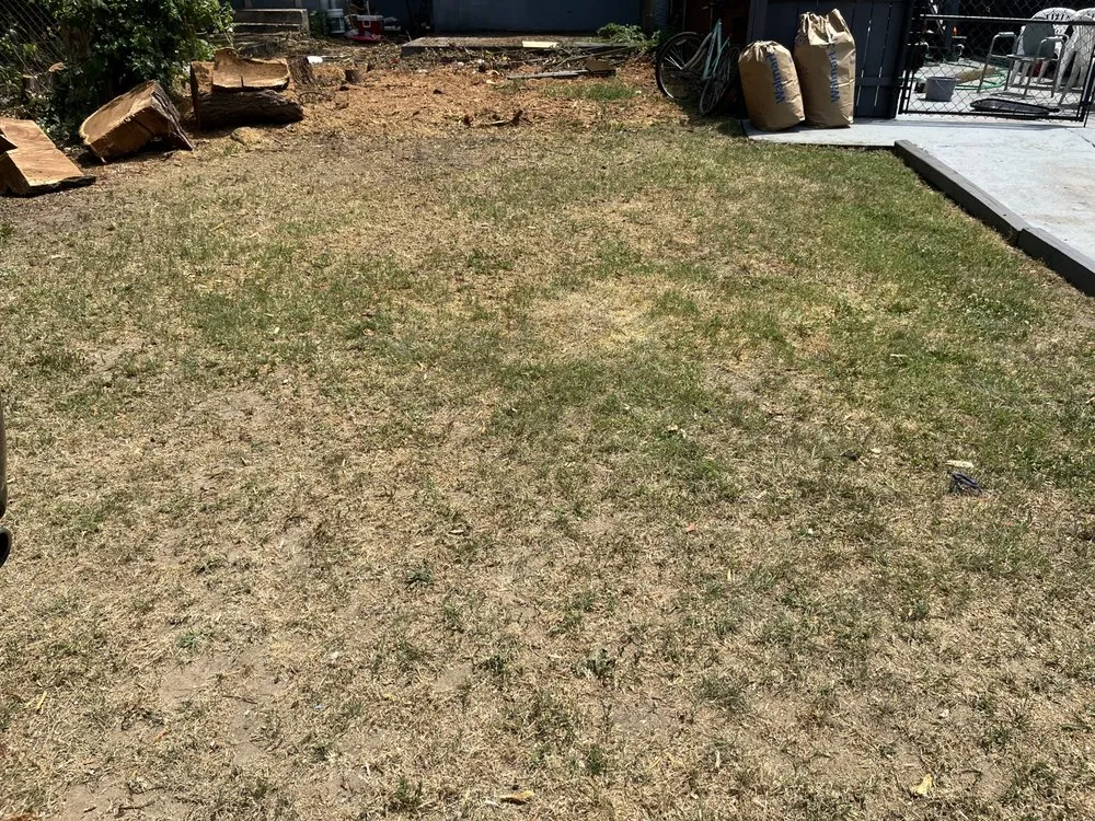 Custom yard maintenance in Gloucester City, NJ - Kindred Lawn Care