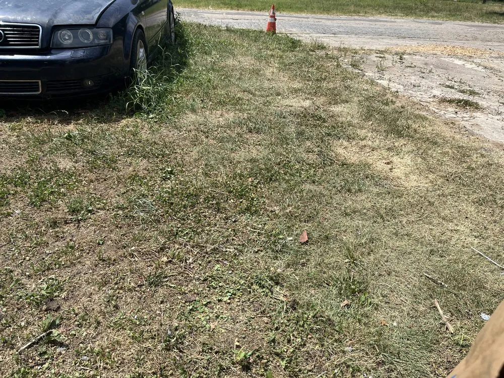 Reliable lawn mowing service in Gloucester City, NJ - Kindred Lawn Care