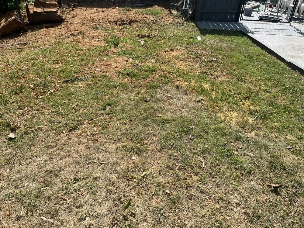 Affordable landscaping services with custom design across Gloucester City, NJ - Kindred Lawn Care