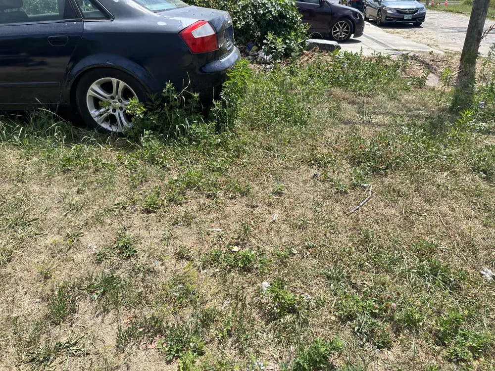 Professional landscape design for beautiful yards in Gloucester City, NJ by Kindred Lawn Care