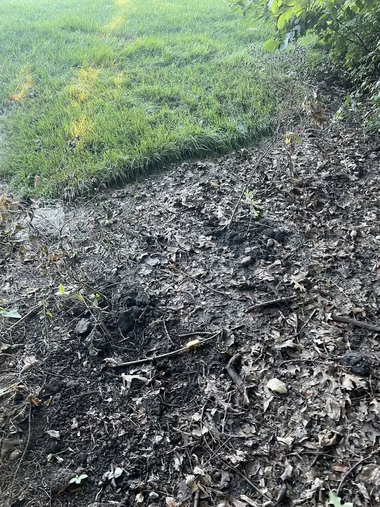 Custom yard maintenance for homes in Bonner Springs, KS by Kindred Outdoor Solutions