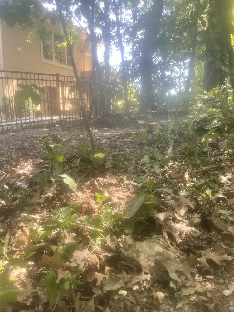 Top-rated yard maintenance in Bonner Springs, KS by Kindred Outdoor Solutions