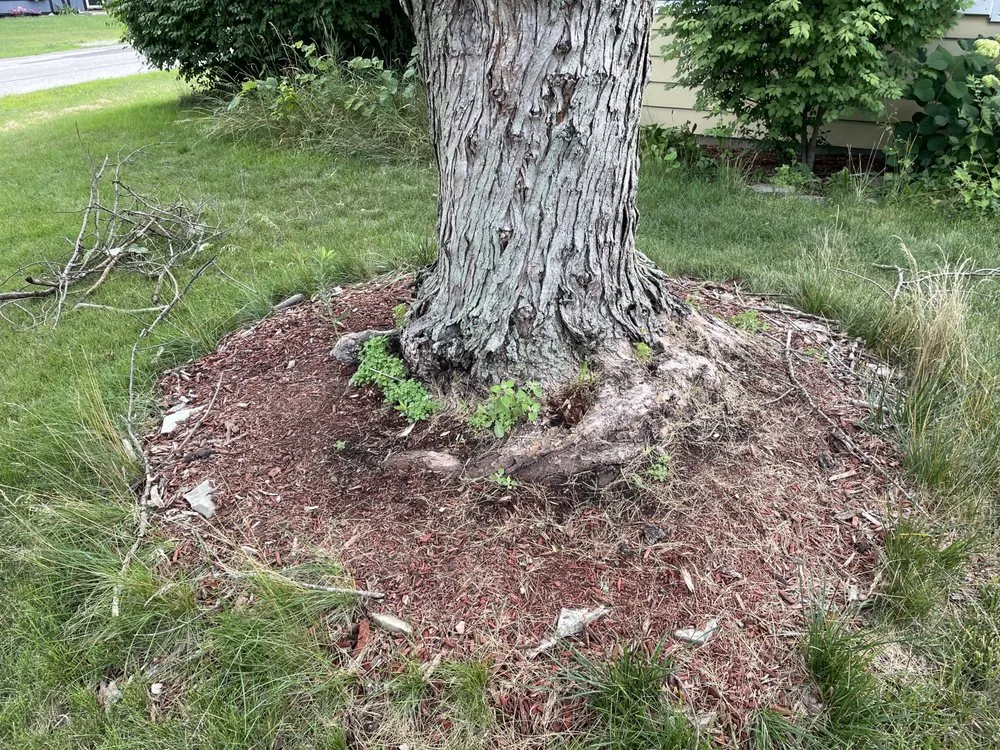 Reliable outdoor landscaping in West Lafayette, IN by KindScape Solutions