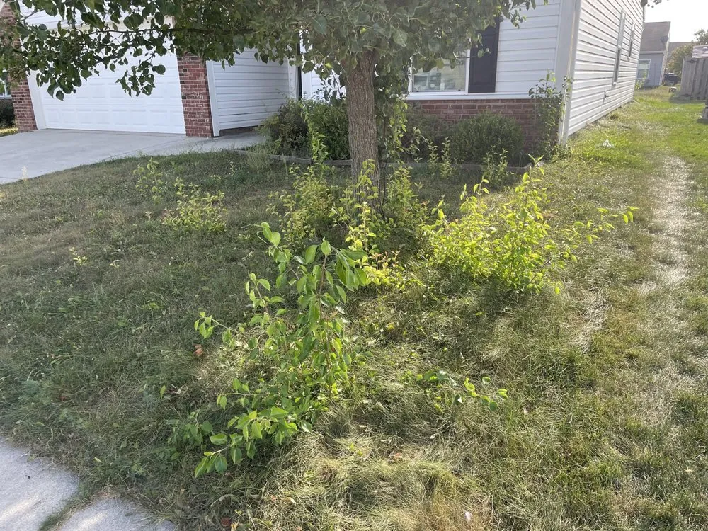 Reliable outdoor landscaping in West Lafayette, IN by KindScape Solutions