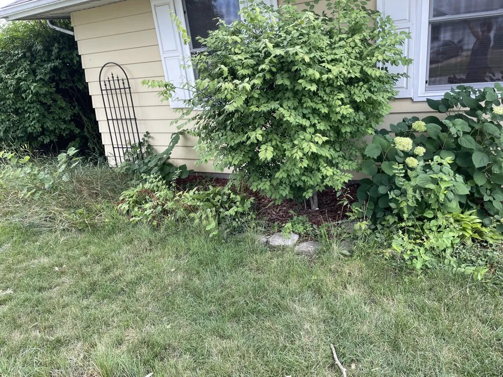 Trusted landscaping services experts serving West Lafayette, IN - KindScape Solutions