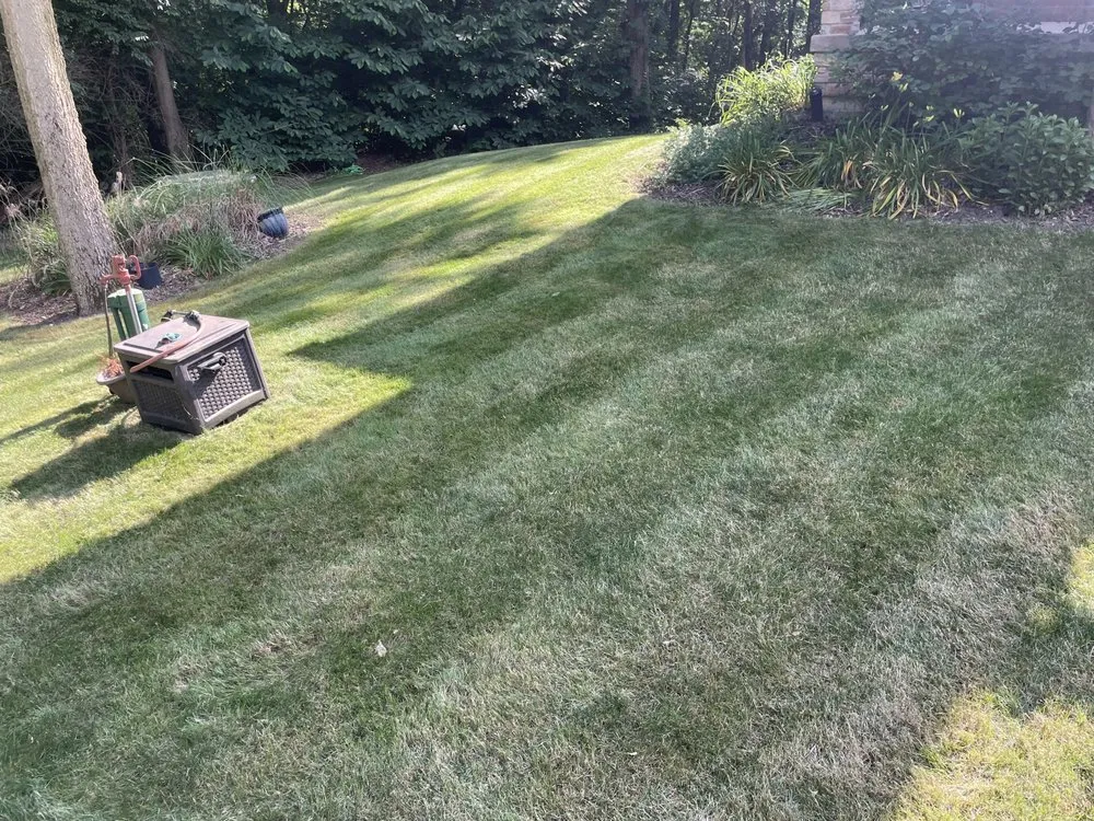 Professional yard cleanup service in West Lafayette, IN - KindScape Solutions
