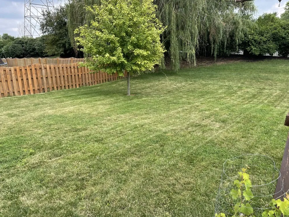Expert lawn mowing service in West Lafayette, IN by KindScape Solutions