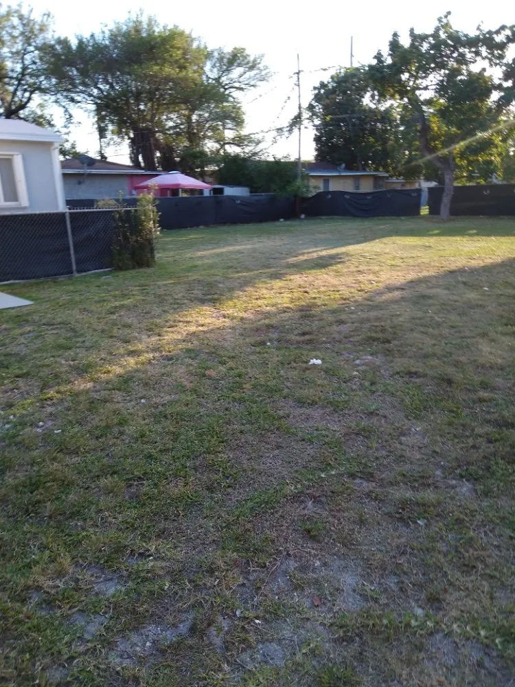 Custom landscape design in Miami, FL - Kinfolkzlandscaping