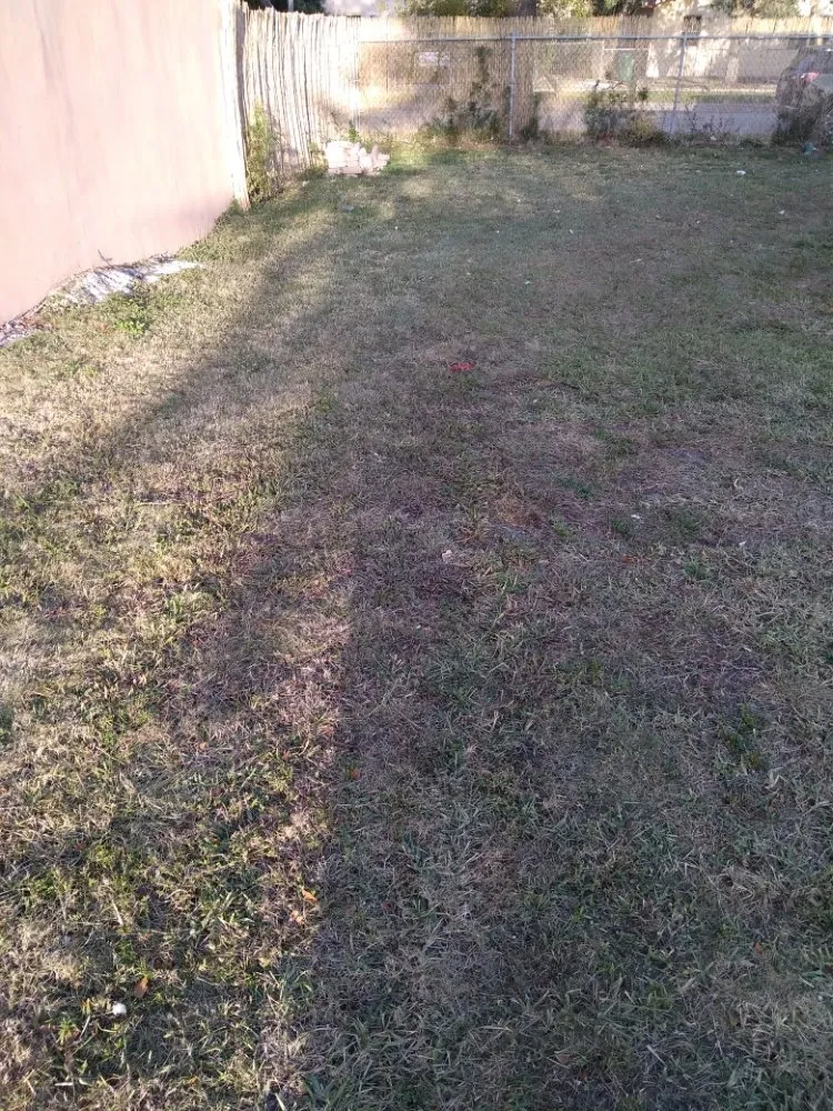 Top-rated landscaping services experts serving Miami, FL - Kinfolkzlandscaping