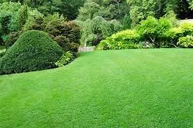 Trusted residential landscaping for outdoor upgrades in Dahlonega, GA by King & Company Lawn Services