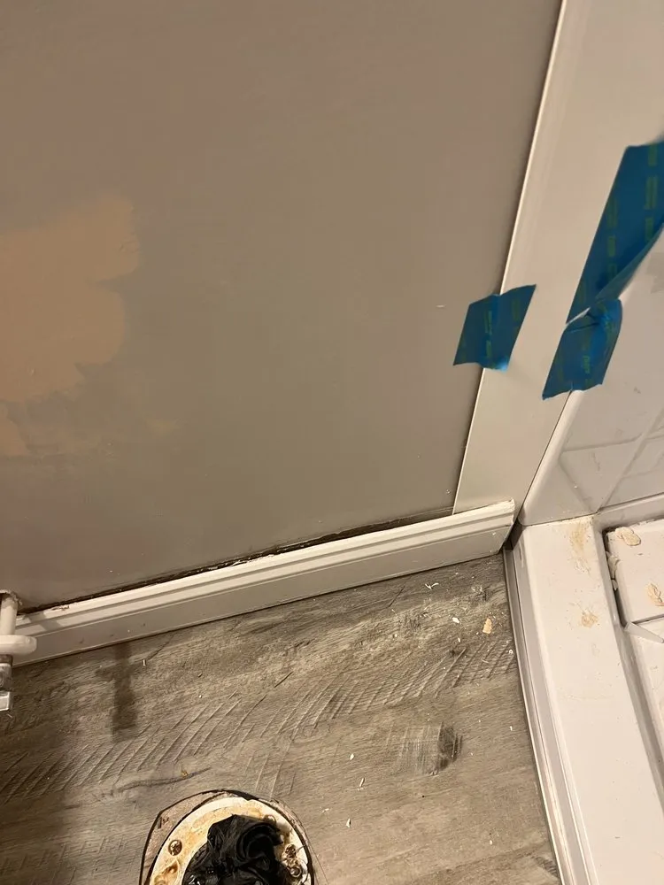 Professional landscape installation in Garner, NC - King & Queen of Clean