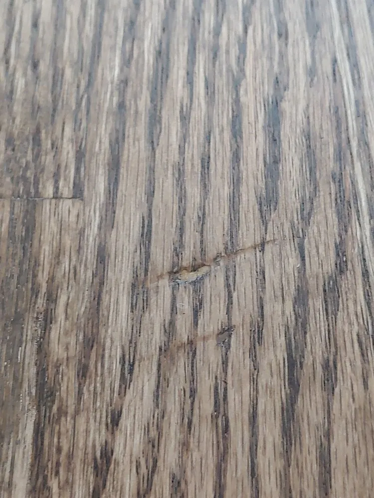 Local yard maintenance experts serving Garner, NC - King & Queen of Clean