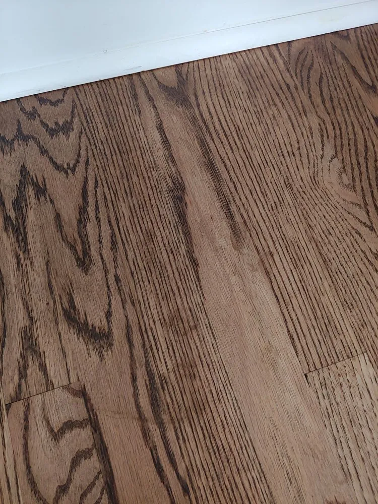 Top-rated lawn care service in Garner, NC - King & Queen of Clean