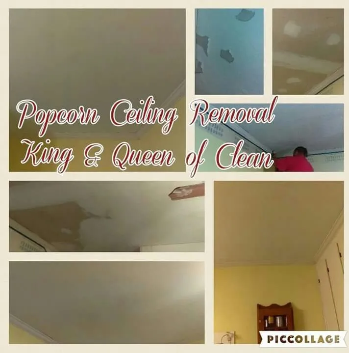 Expert yard cleanup service in Garner, NC by King & Queen of Clean