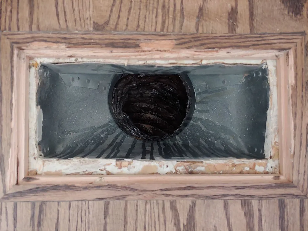 Reliable lawn care service in Garner, NC - King & Queen of Clean