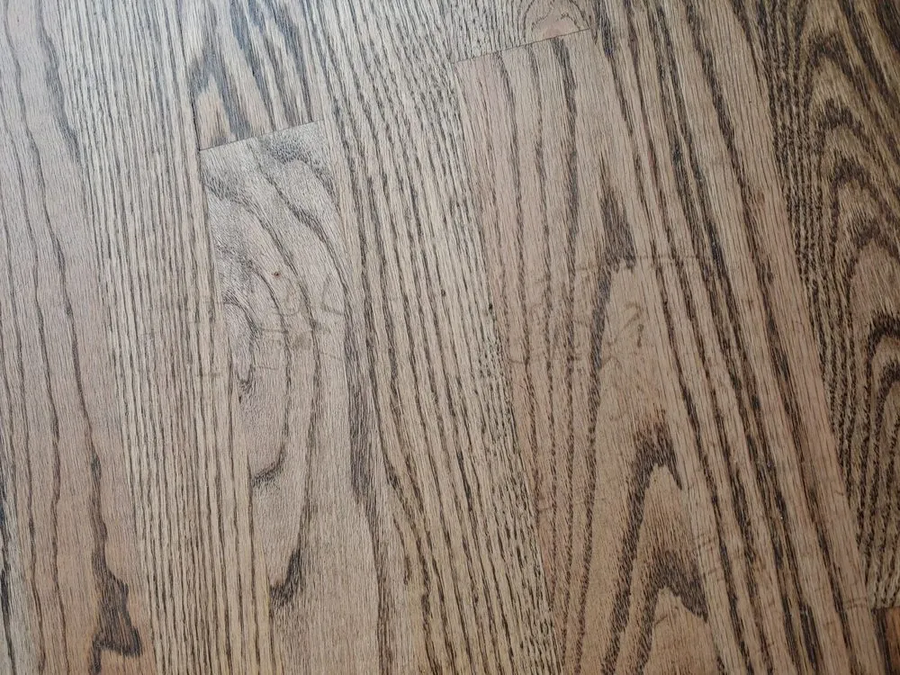 Reliable yard maintenance in Garner, NC - King & Queen of Clean