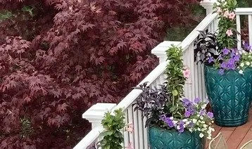 Top-rated landscape design for homes in Mashpee, MA by King and Queen