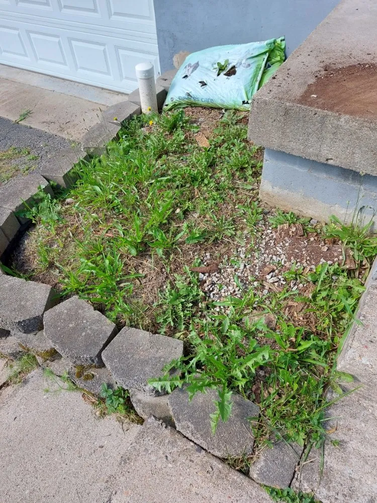 Professional landscaping services near you across Radcliff, KY - King and Queens Lawn Care