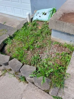 King and Queens Lawn Care Logo