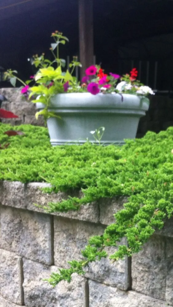 Trusted lawn care service in Garnet Valley, PA - King Cut Landscaping