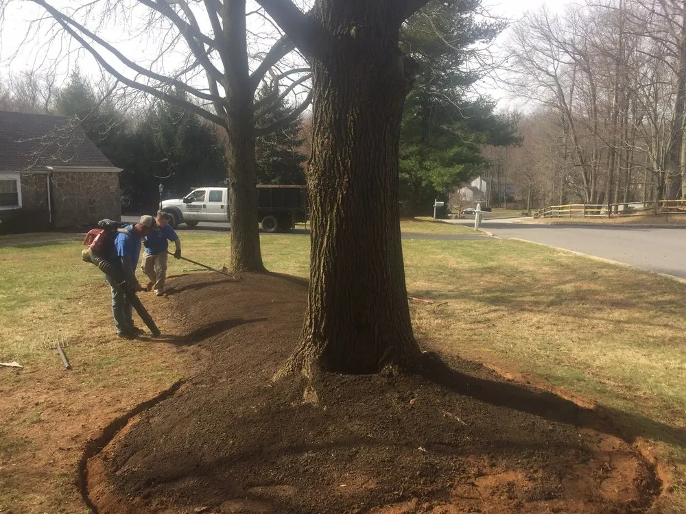 Custom yard cleanup service in Garnet Valley, PA - King Cut Landscaping