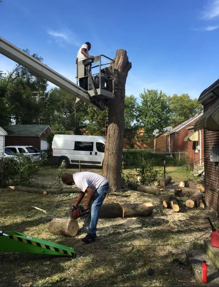 Custom yard maintenance experts serving Detroit, MI - King Cut Tree Service