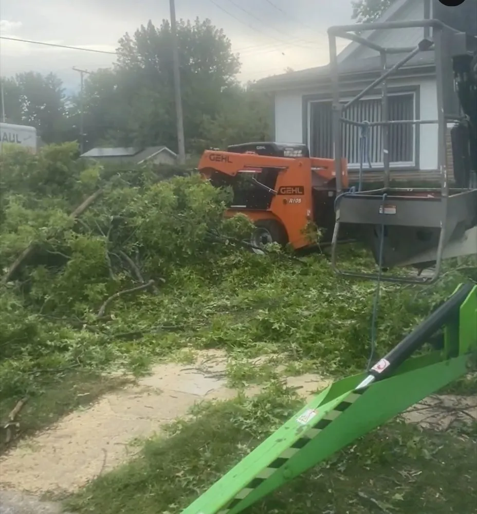 Affordable yard cleanup service for year-round maintenance across Detroit, MI - King Cut Tree Service