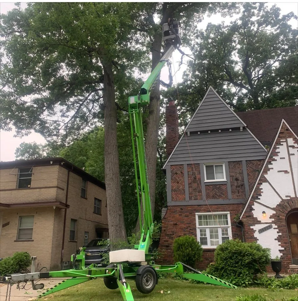 Professional landscaping services for outdoor upgrades in Detroit, MI by King Cut Tree Service