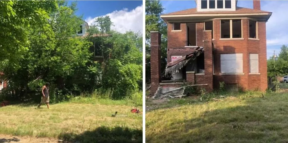 Local landscape design experts serving Detroit, MI - King Cut Tree Service