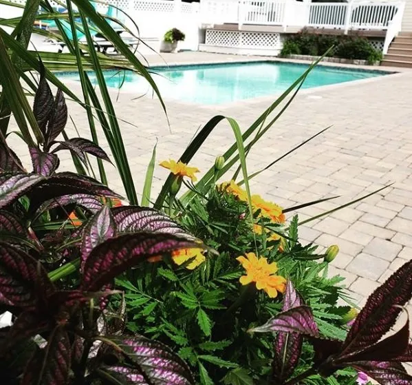 Professional garden landscaping near you in Davidsonville, MD by King Cuts Landscaping