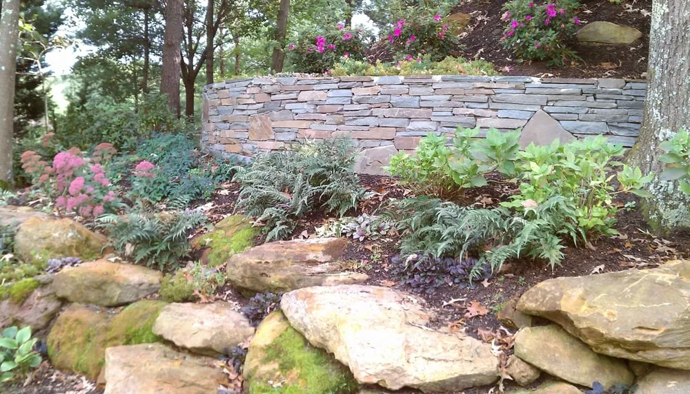 Top-rated yard maintenance in Davidsonville, MD by King Cuts Landscaping