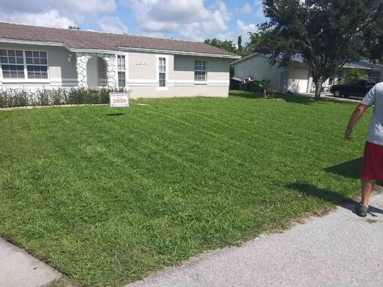 Top-rated residential landscaping experts serving Englewood, FL - King Cuts Lawn Services