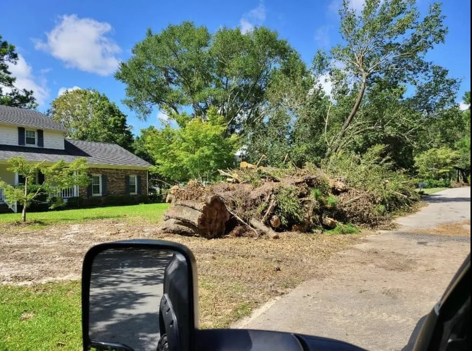 Affordable lawn mowing service in St. Petersburg, FL by King Cuts Tree Services