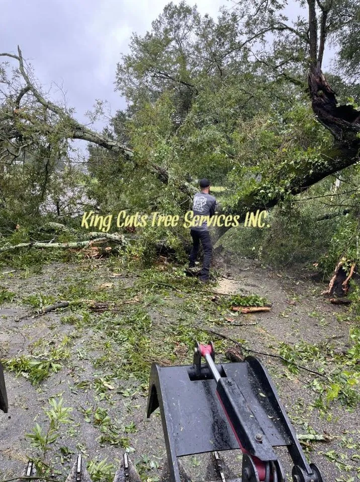 Trusted garden landscaping in St. Petersburg, FL - King Cuts Tree Services