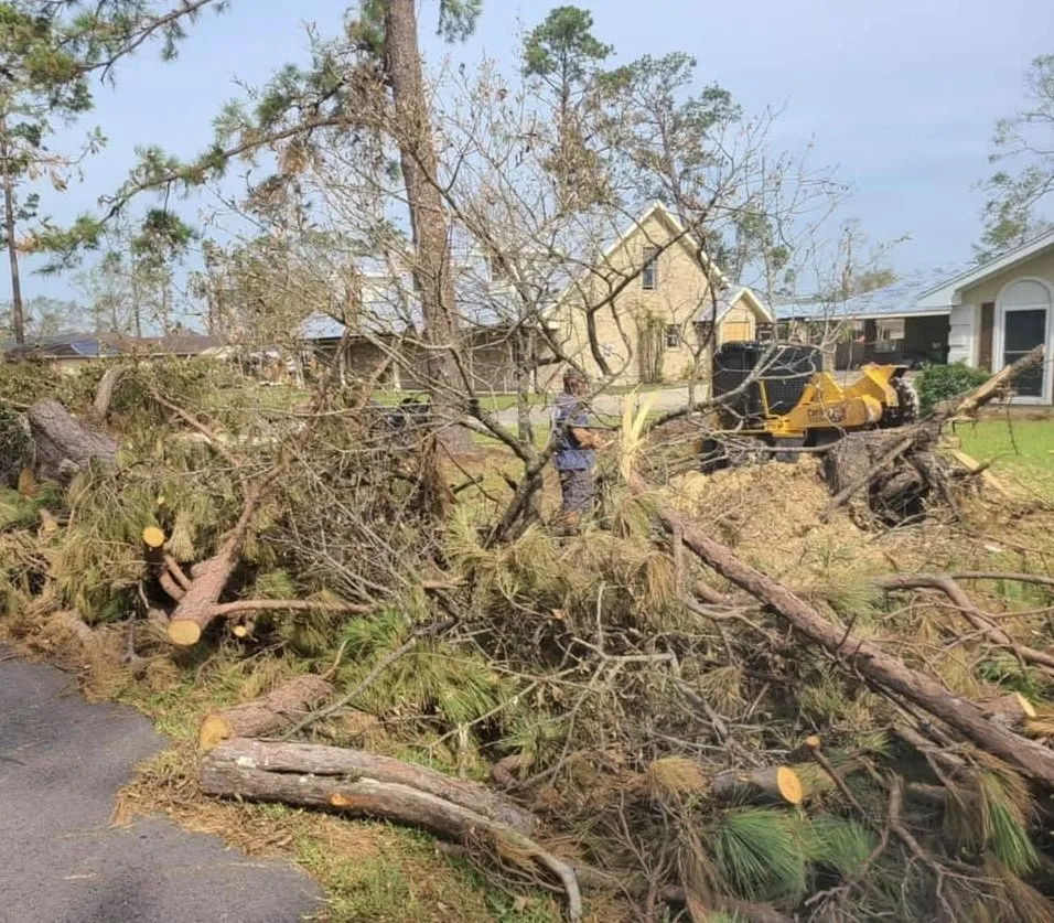 Expert outdoor landscaping near you in St. Petersburg, FL by King Cuts Tree Services
