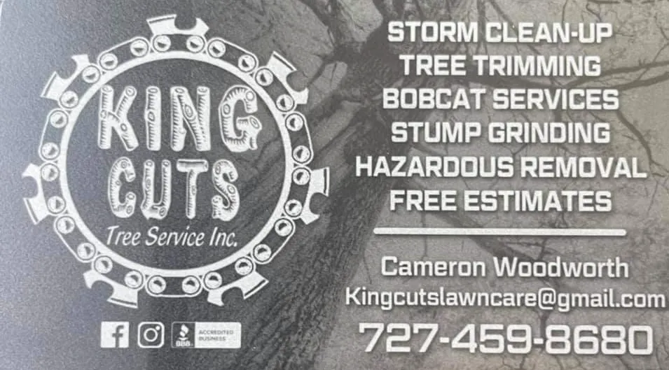 Local yard cleanup service for beautiful yards across St. Petersburg, FL - King Cuts Tree Services