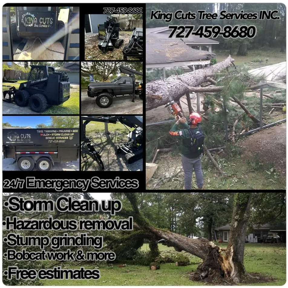 Expert landscape installation for beautiful yards across St. Petersburg, FL - King Cuts Tree Services