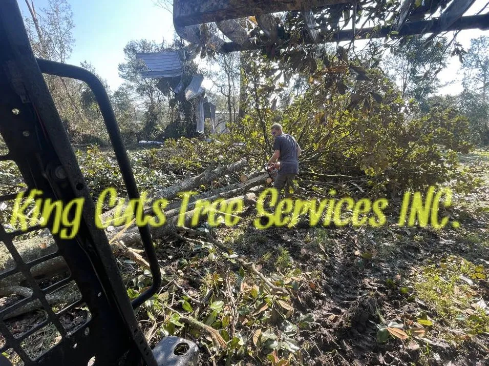 Top-rated yard maintenance for outdoor upgrades in St. Petersburg, FL by King Cuts Tree Services