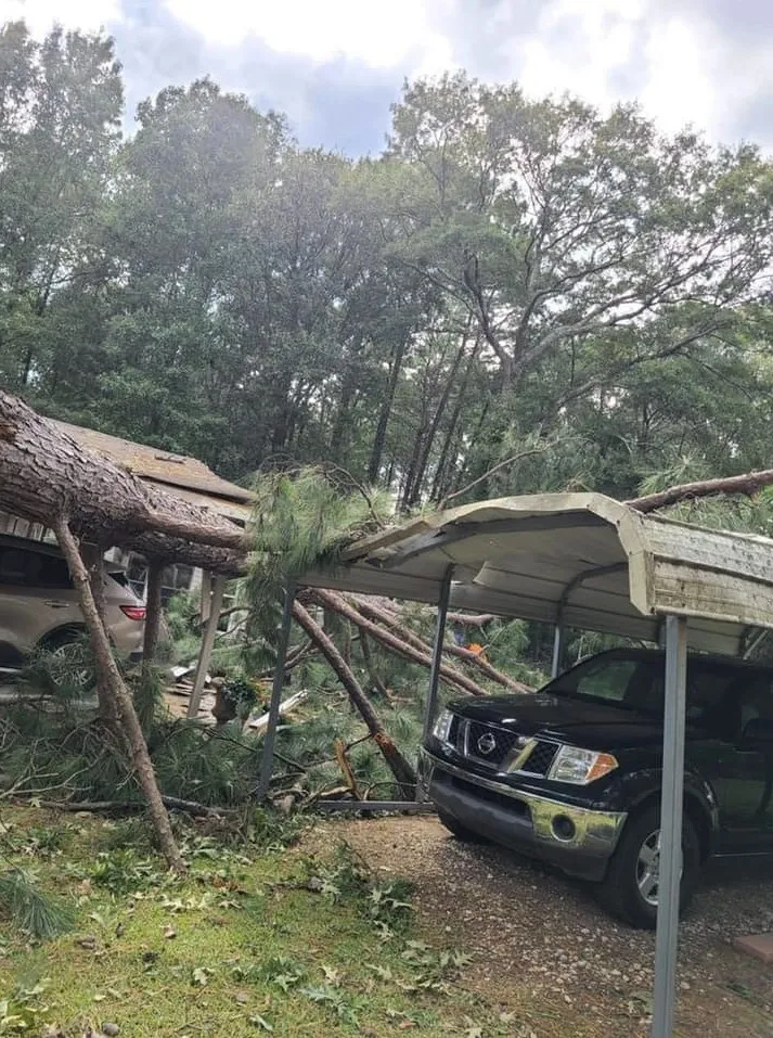 Reliable residential landscaping in St. Petersburg, FL by King Cuts Tree Services