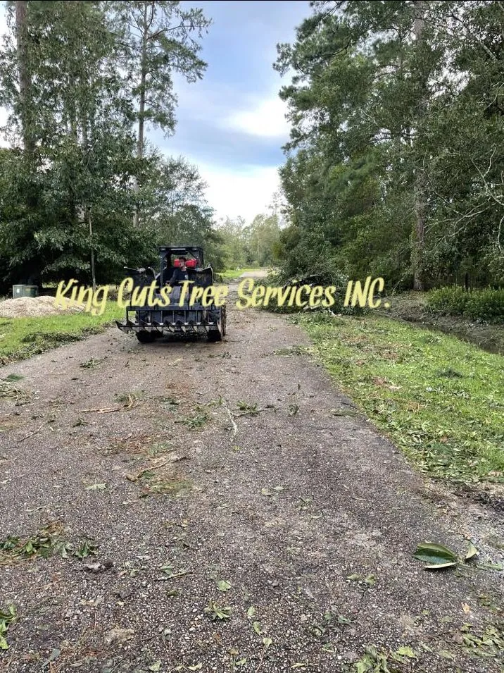 Affordable lawn care service for homes in St. Petersburg, FL by King Cuts Tree Services