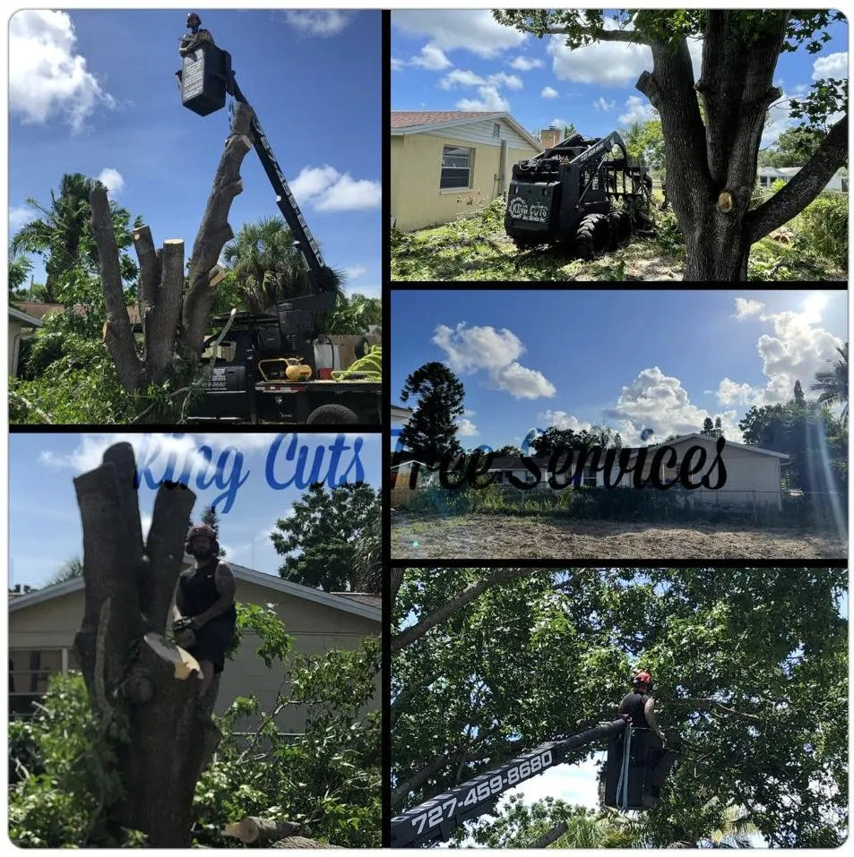 Expert lawn mowing service for homes in St. Petersburg, FL by King Cuts Tree Services