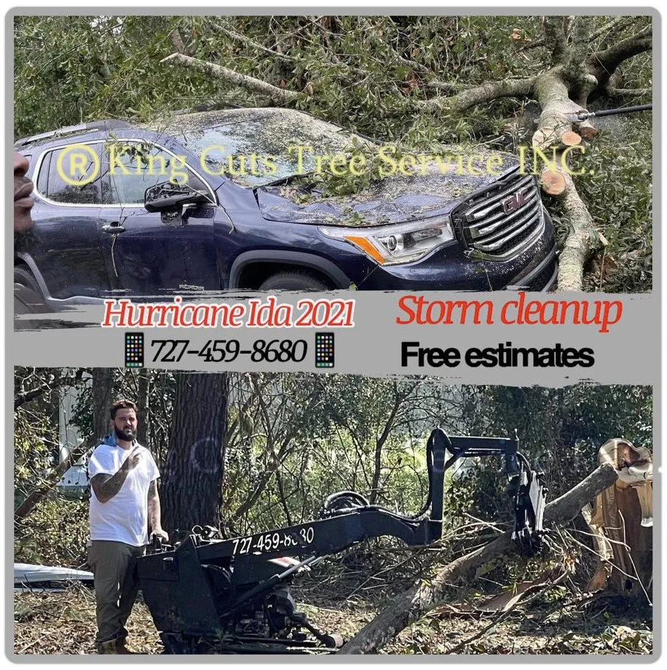 Trusted landscape design for residential properties across St. Petersburg, FL - King Cuts Tree Services