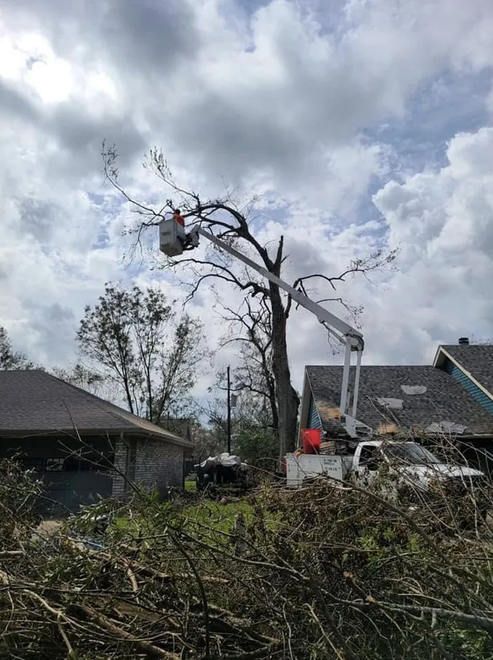 Custom garden landscaping for year-round maintenance across St. Petersburg, FL - King Cuts Tree Services