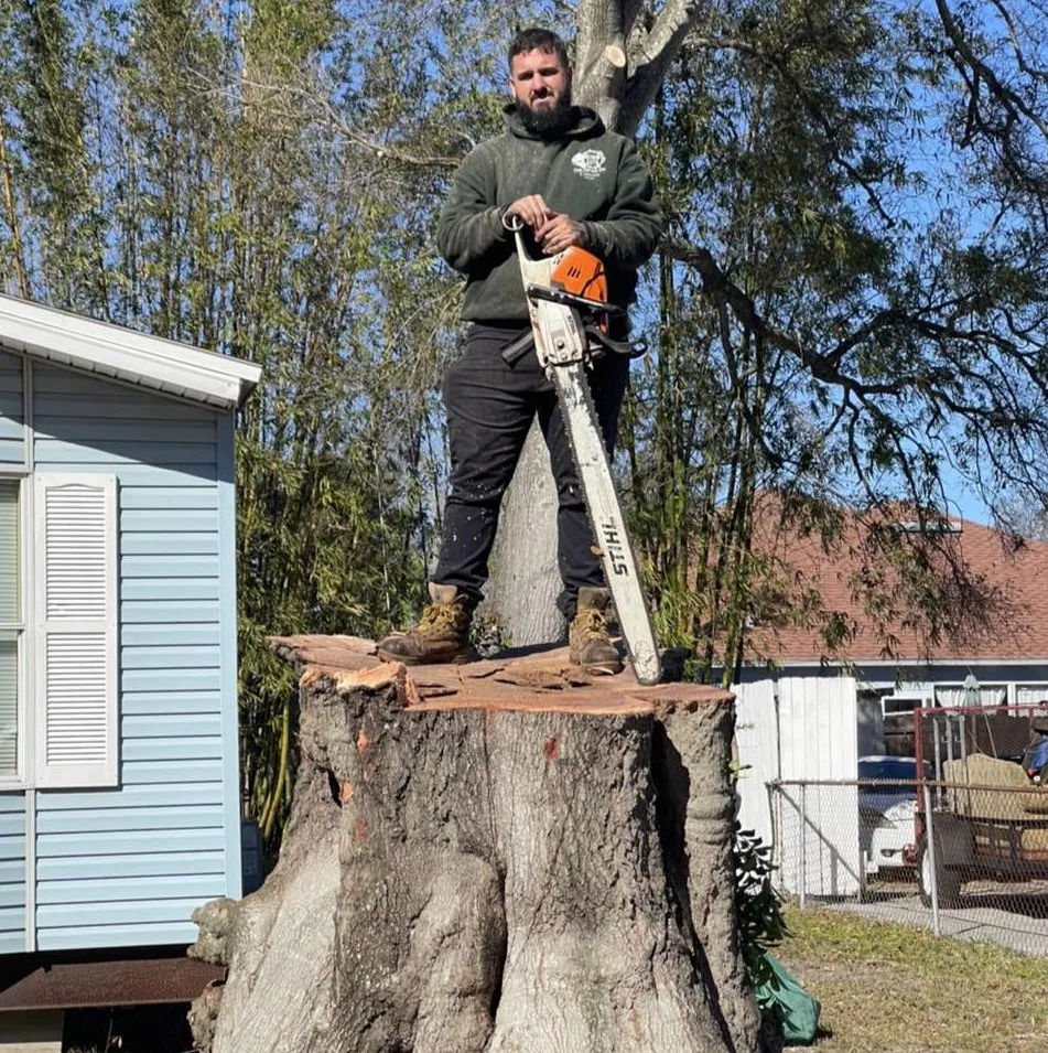 Affordable landscape installation for year-round maintenance in St. Petersburg, FL by King Cuts Tree Services