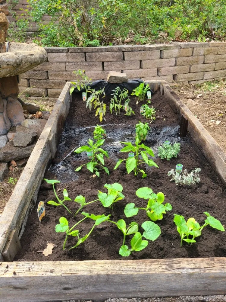 Trusted yard cleanup service for year-round maintenance across Central Point, OR - King David's Construction